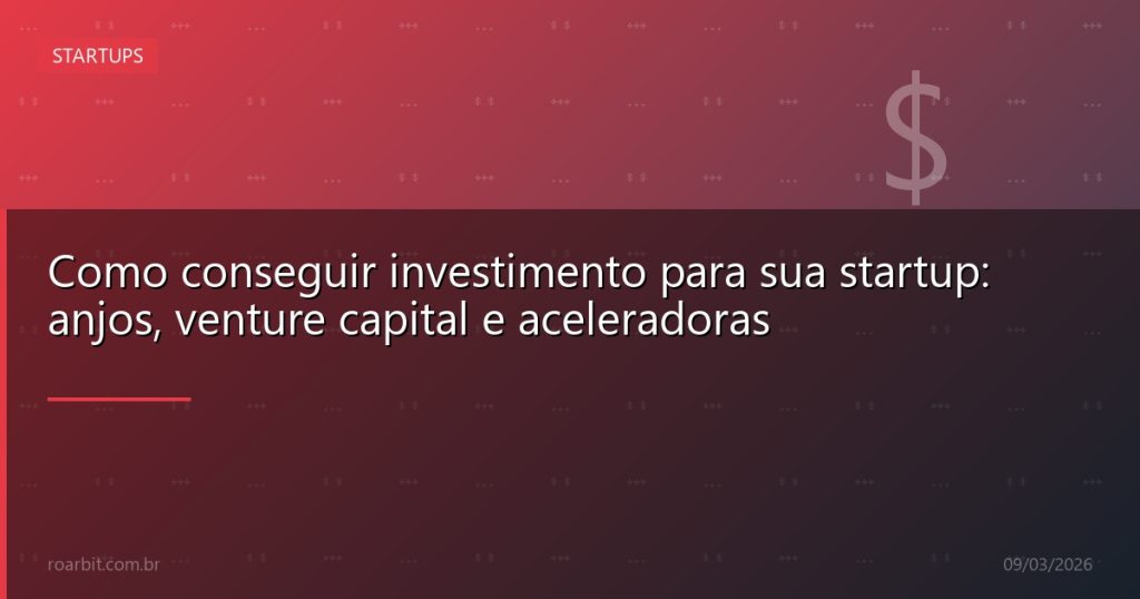 Como conseguir investimento para sua startup: anjos, venture capital e aceleradoras